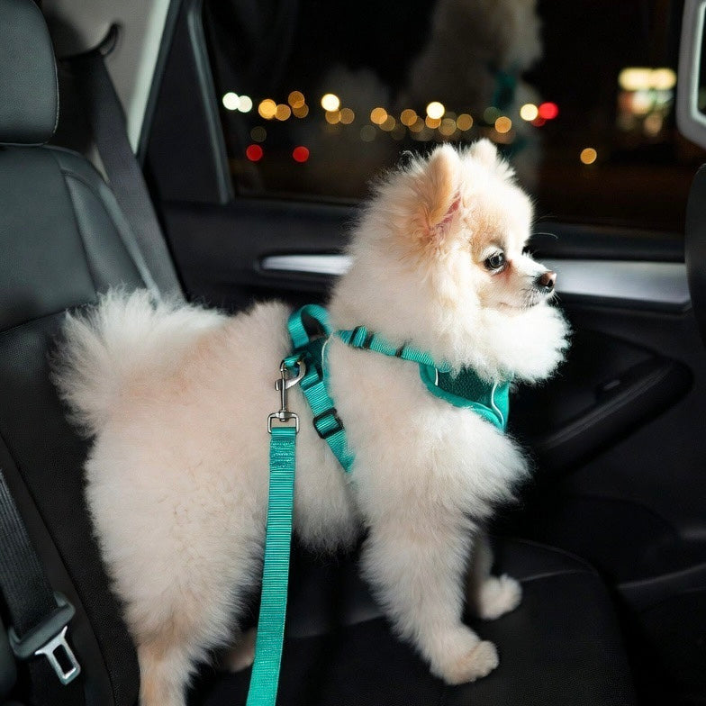 Adjustable Car Pet Seatbelt